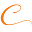Citarella Icon