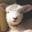 Solitude Wool Icon