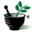 Spring Wind Herbal Products Icon