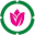 Regiobloemist BE Icon