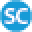 Smart Cellular Icon