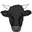 Swagyu Box Co. Icon