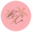 Bobbie & Co. Icon