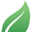 Organic Roots Icon