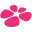 Cococo Icon