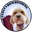 Fluffy Bum Designs Icon
