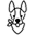 Dogs Life Apparel Co Icon