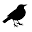 Blackbird Avenue Icon
