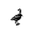 White Nene Coffee Roasters Icon