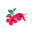 Santana's Island Scents Icon
