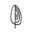 Ayuna Icon
