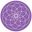 Soul Gifts Icon