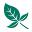Kaili Ets Icon