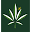 Hemp And Honey Icon