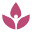 Zentyme Moments Icon