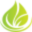 CBD Hype CA Icon