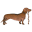 Sausage Dog Sanctuary Food Icon