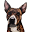 Dogs Eating Cake Icon