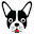 Drool Pet Co. Icon