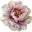 Vintage Peonie Interiors Icon