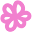 Stellaluna Store Icon