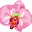 Her Sacred Place Icon