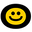 Vivo Home Icon