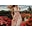 darianrojas Icon