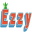 Ezzy Green Icon