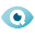 Eye Q Optique Icon