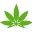 Doctor Herb Icon