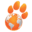 World Of Dog Training Icon