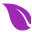 XyliDENT Icon