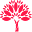 Knowledge Door Icon