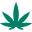 Dermactiva Icon