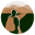Side Quest Apparel Icon