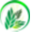 Medico Herbs Icon