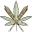 Canna Club Co Icon