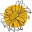 Boutique ETC... Icon