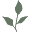 Optimum Health Vitamins Icon