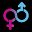 Bud Cargo Icon