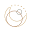 Sohum Store Icon