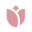 Bloomeroo Icon