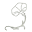 Morning Ritual Cacao Icon
