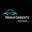 Premium Diagnostic Icon