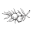 Love Locs Icon
