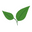 Koa Organics Icon