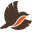 Robin Shop Icon