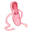 Lady's Dance Shoes Icon