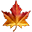 Tealerlab Icon